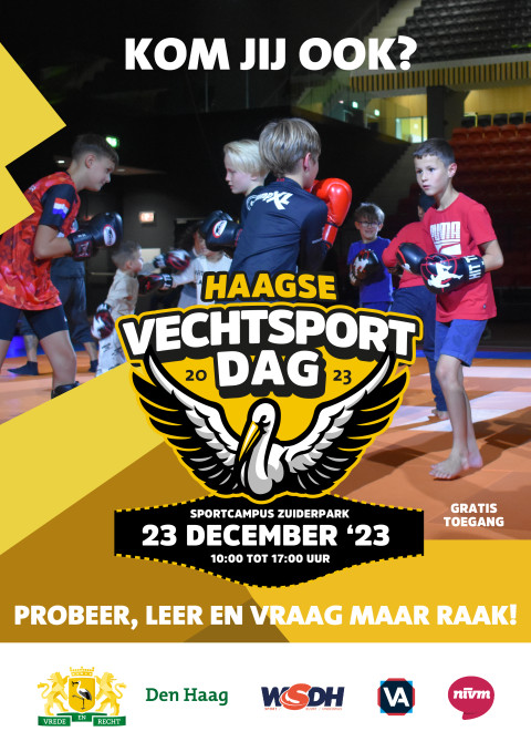 Flyer1 HVD