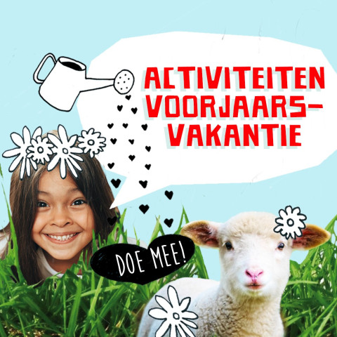 Voorjaarsvakantie