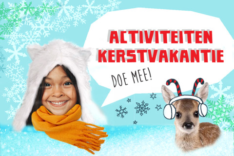 Winterknopmetsjaal2